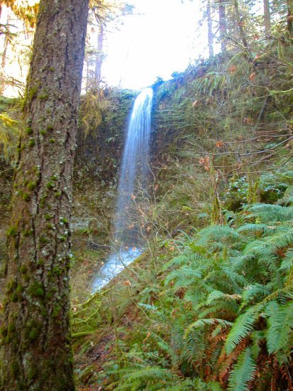 Silver Falls: Frenchie Falls in the Winter 20